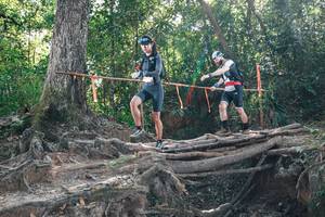 BIB: 
                            <button type="button" onclick="openModal(27747246)" class="btn btn-primary btn-sm float-right btn-popup" data-toggle="modal" data-target=".modal-high-quality">
                        <i class="fas fa-shopping-cart"></i> Add to Cart
                    </button>
                                            <button type="button" onclick="isThisMe(27747246, true)" class="btn btn-success btn-sm float-right btn-popup btn-isme hidden" data-toggle="tooltip" data-placement="bottom" title="นี่คือรูปของคุณใช่ไหม คลิกที่นี่เพื่อเอาเข้าอัลบั้ม">
                        <i class="fas fa-plus"></i> Add to album
                    </button>
                    <button type="button" onclick="isThisMe(27747246, false)" class="btn btn-warning btn-sm float-right btn-popup btn-isnotme hidden">
                        <i class="fas fa-ban"></i> Remove from album
                    </button>